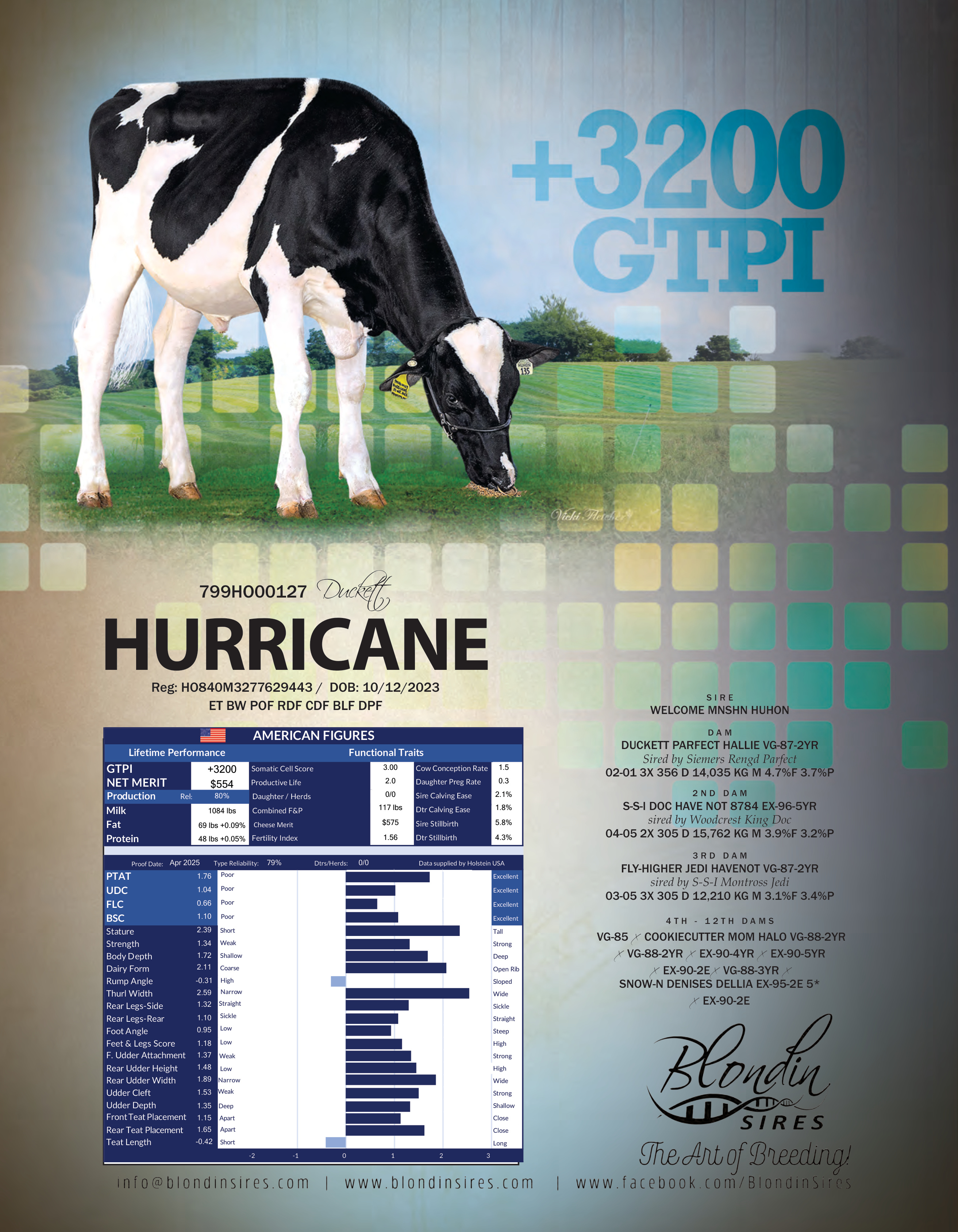 HURRICANE — 799HO00127